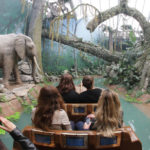 World-of-Discoveries-LVI_8492–fot-World-of-Discoveries