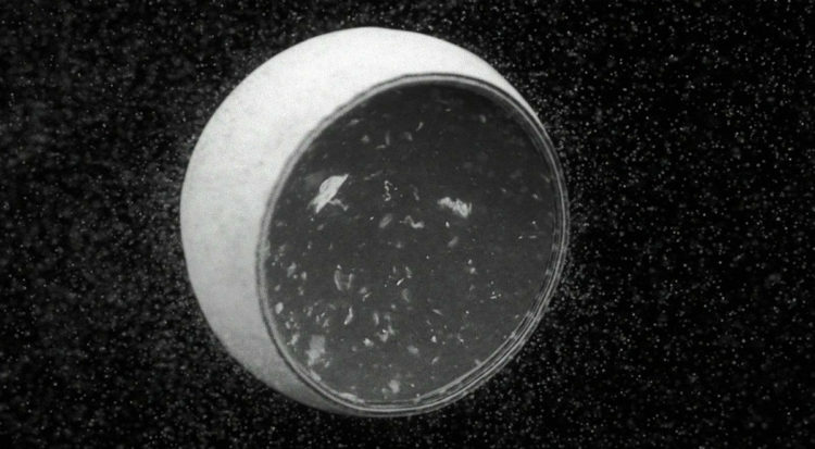 photon-film-2