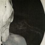 IMG_8729